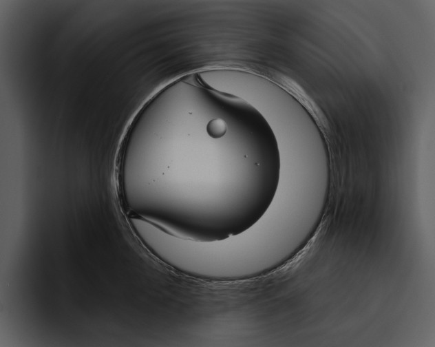 X0000095680908200801291154