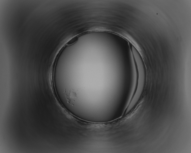 X0000095680909200801291154