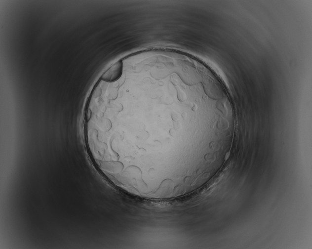 X0000095680911200801291154