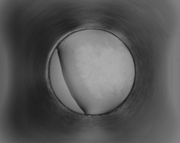 X0000095680912200801291154