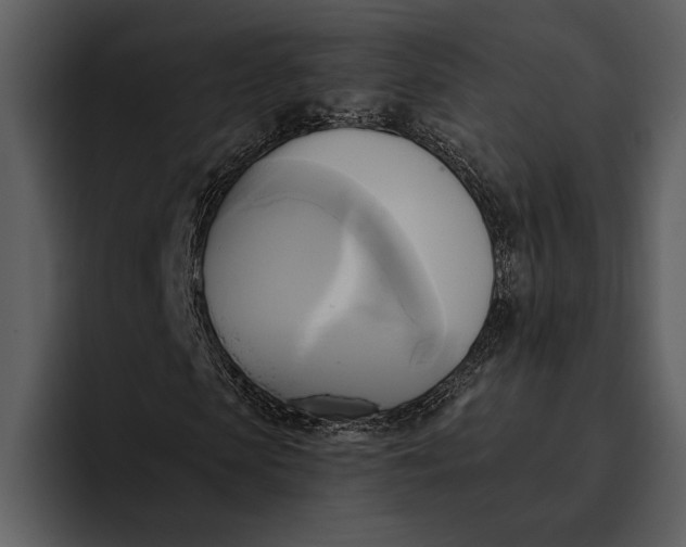 X0000095680913200801291154