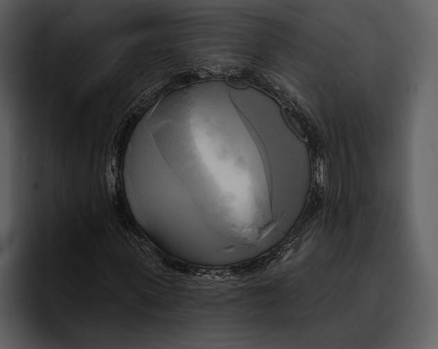 X0000095680915200801291154