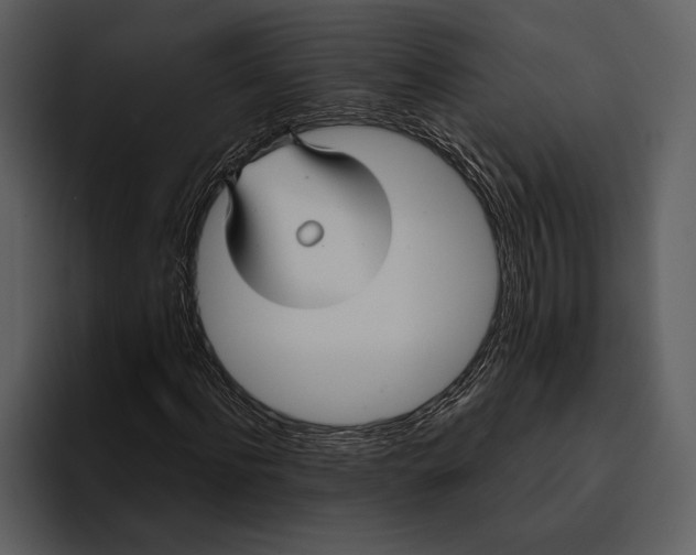 X0000095680916200801291154