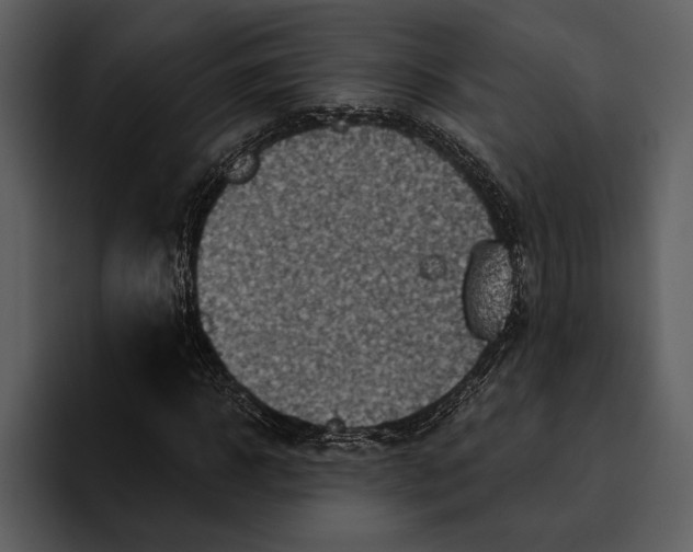 X0000095680918200801291154