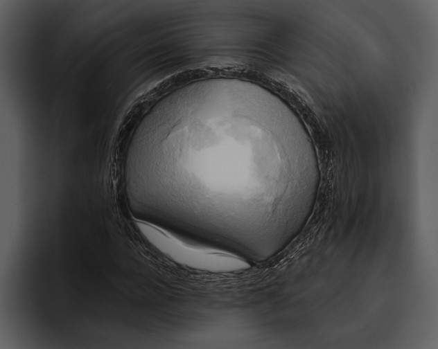 X0000095680920200801291154