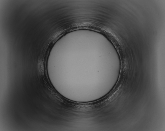 X0000095680921200801291154