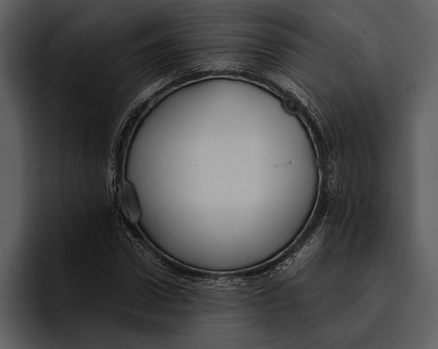 X0000095680922200801291154