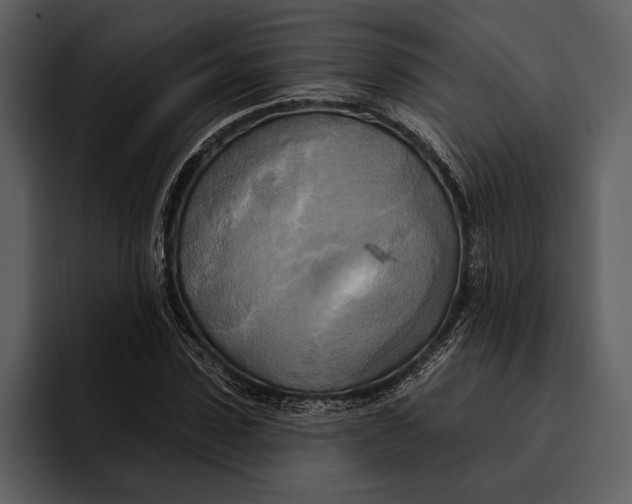 X0000095680923200801291154