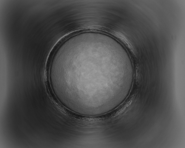 X0000095680924200801291154