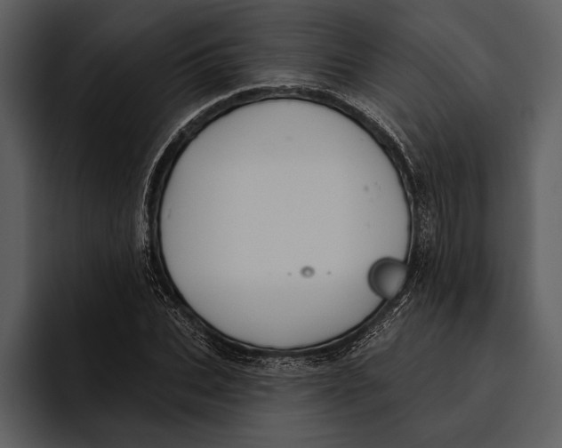 X0000095680927200801291154