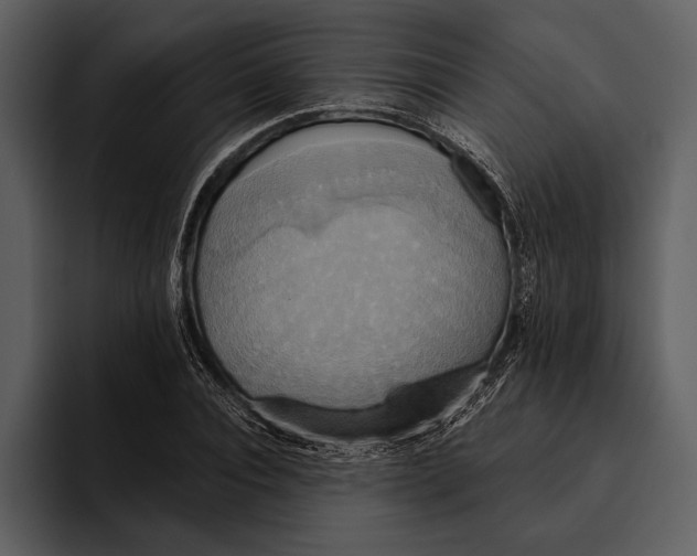 X0000095680928200801291154