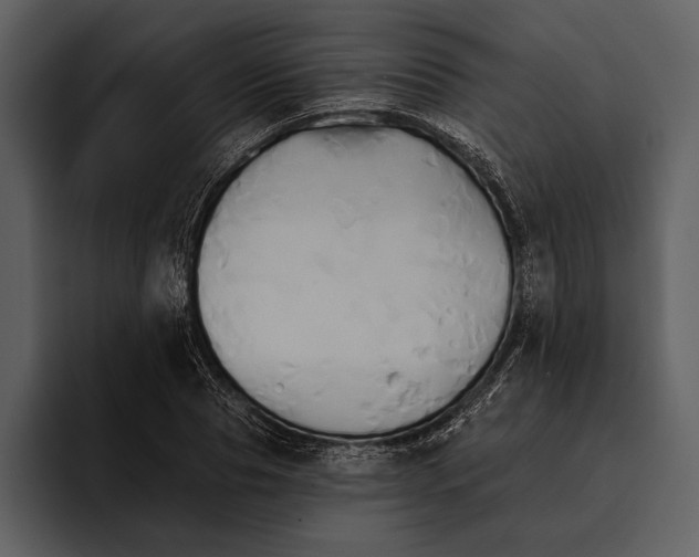 X0000095680929200801291154