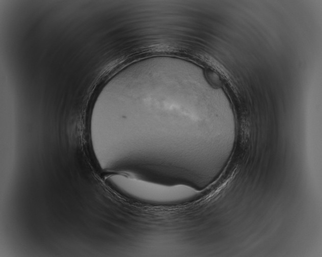 X0000095680930200801291154