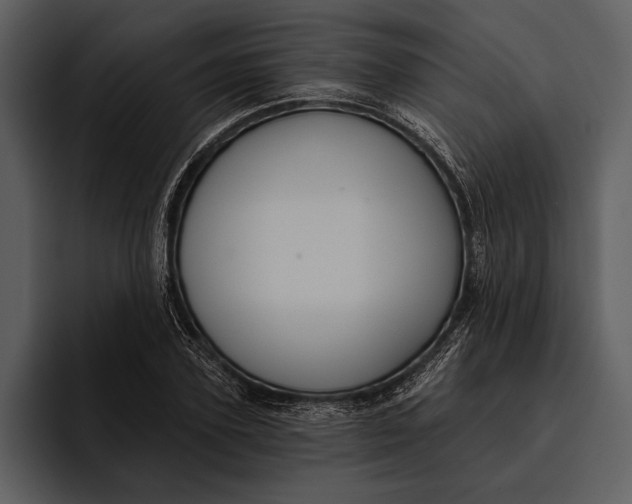 X0000095680931200801291154