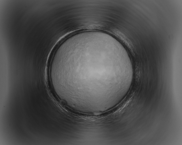 X0000095680932200801291154