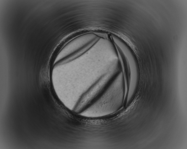 X0000095680934200801291154