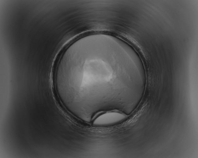 X0000095680935200801291154