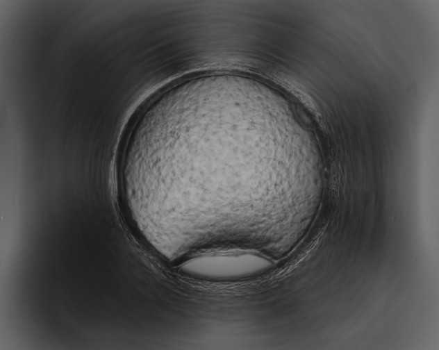 X0000095680936200801291154