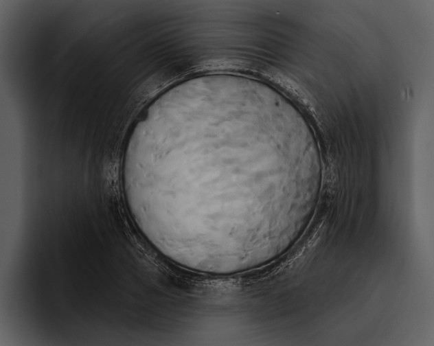 X0000095680937200801291154