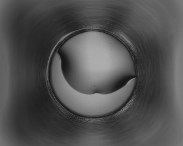 X0000095680940200801291154