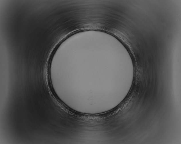 X0000095680941200801291154