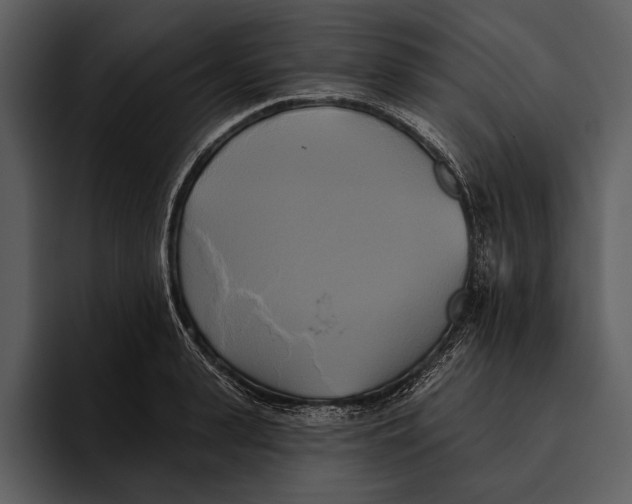 X0000095680943200801291154