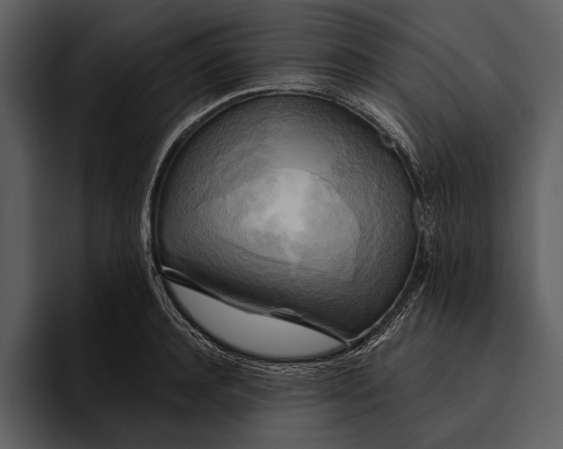 X0000095680944200801291154