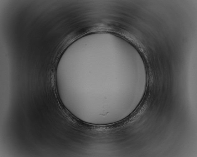 X0000095680945200801291154