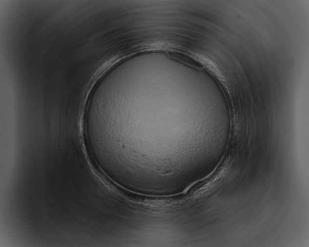 X0000095680946200801291154