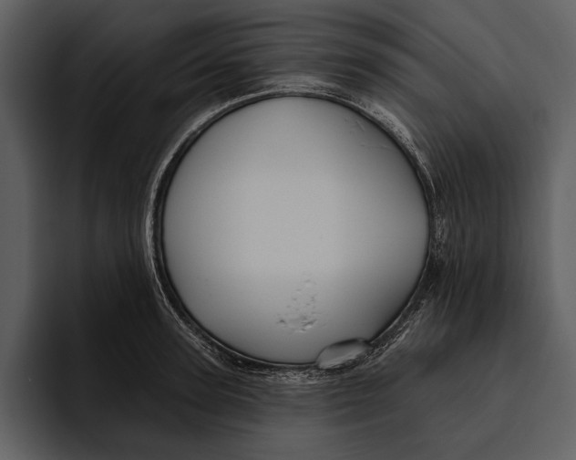 X0000095680947200801291154