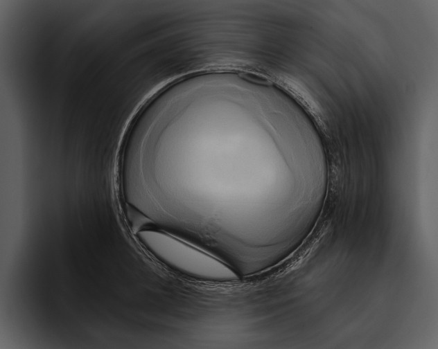 X0000095680948200801291154