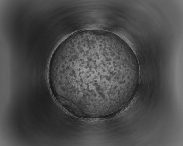 X0000095680949200801291154