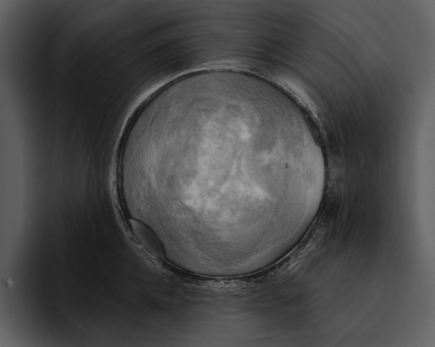 X0000095680952200801291154