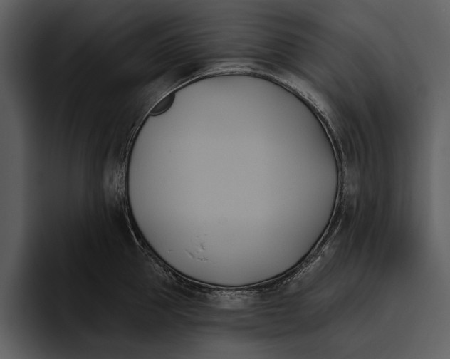 X0000095680953200801291154