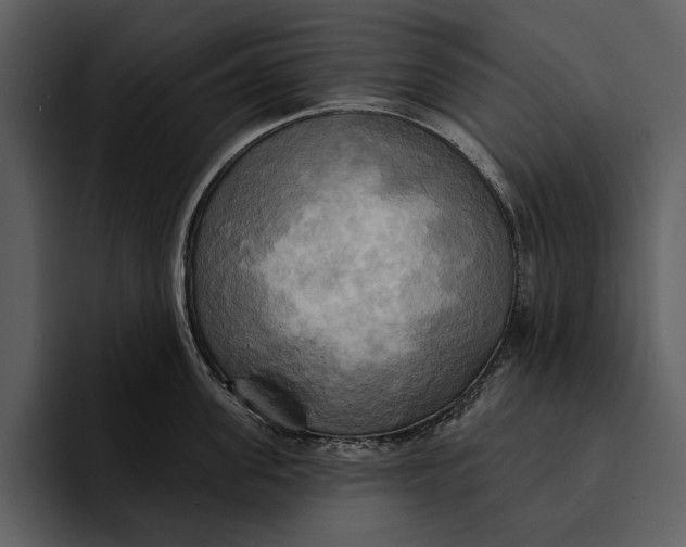 X0000095680955200801291154