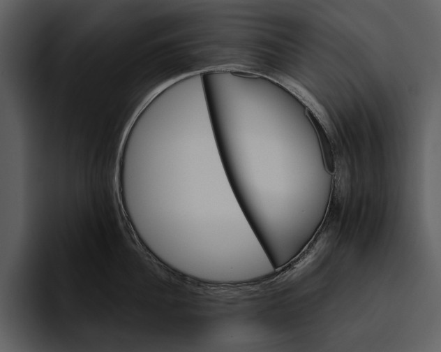 X0000095680956200801291154