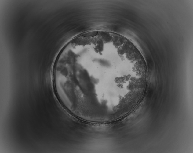 X0000095680957200801291154