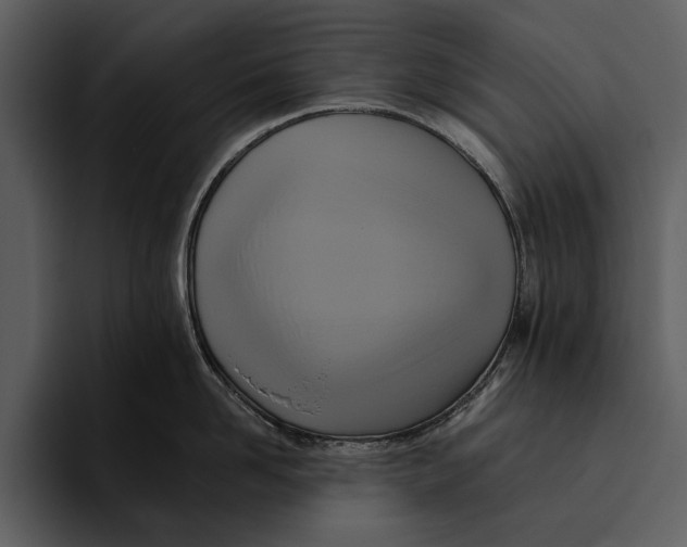 X0000095680958200801291154