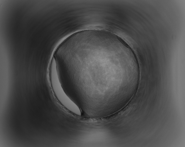 X0000095680960200801291154