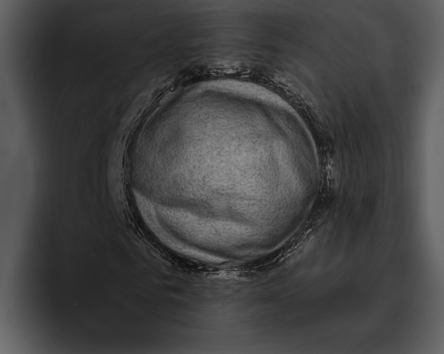 X0000095680961200801291154