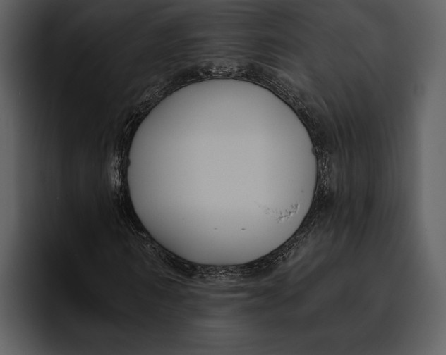 X0000095680962200801291154