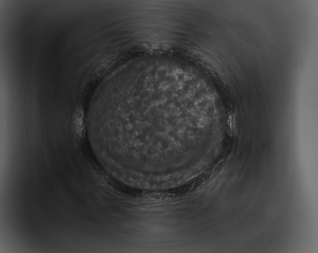 X0000095680963200801291153