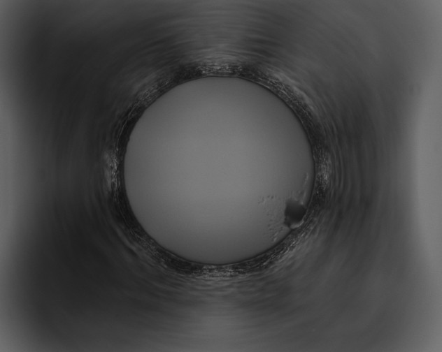 X0000095680964200801291153