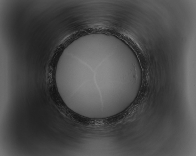 X0000095680968200801291153