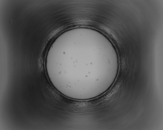 X0000095680970200801291153