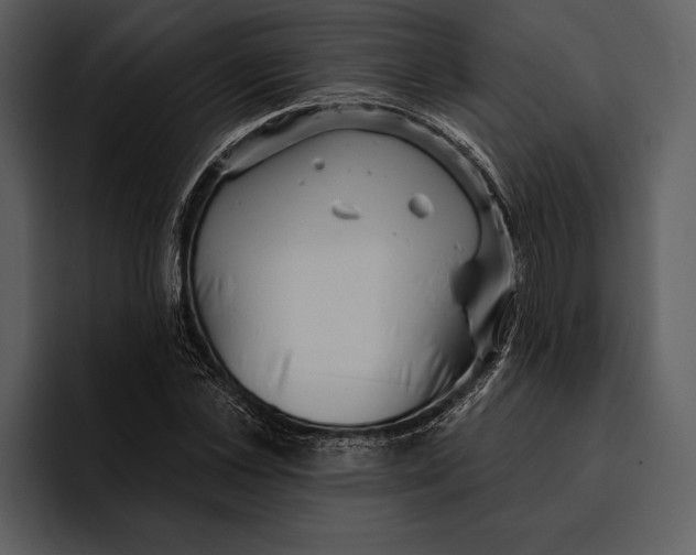 X0000095680973200801291153