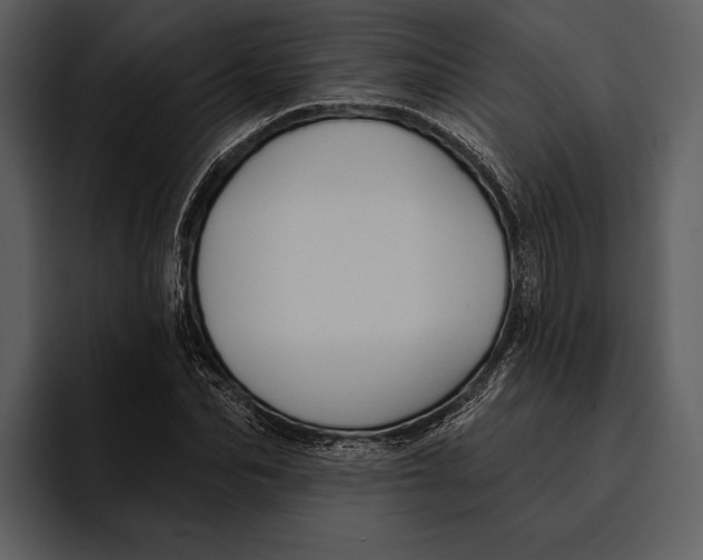 X0000095680974200801291153