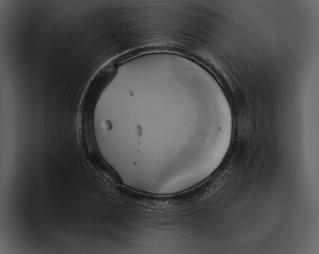 X0000095680975200801291153