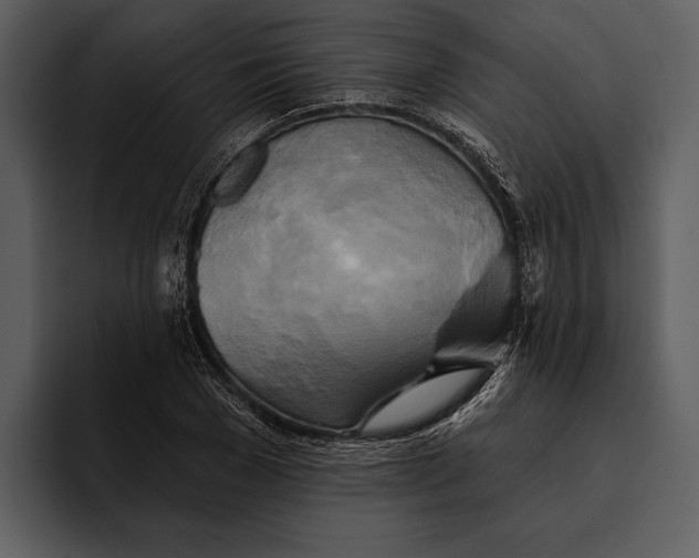 X0000095680977200801291153