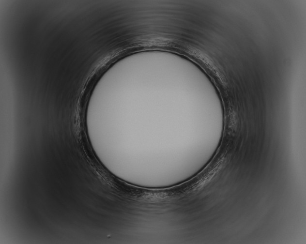 X0000095680978200801291153